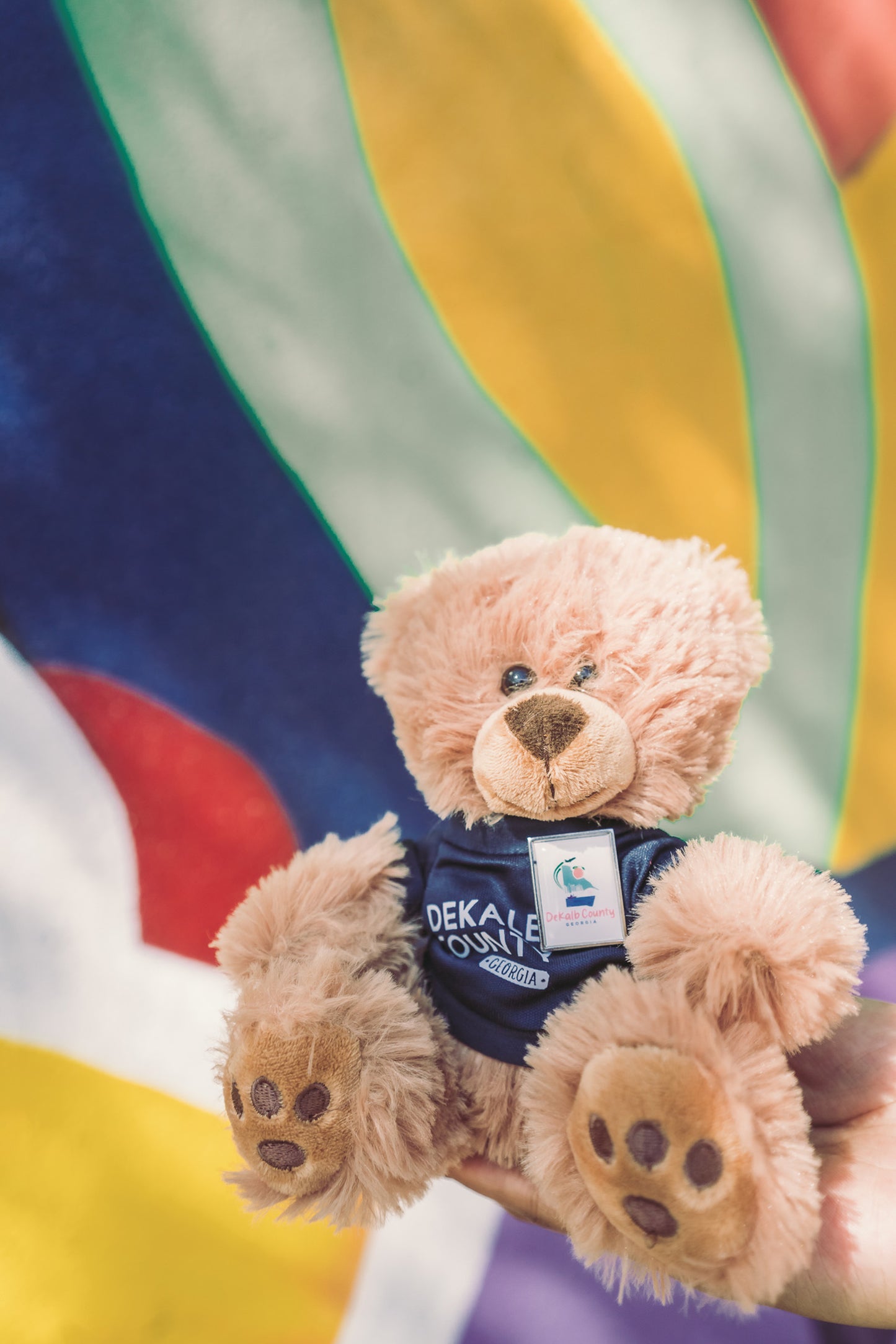 Proudly Pinned | DeKalb County Lapel Pin