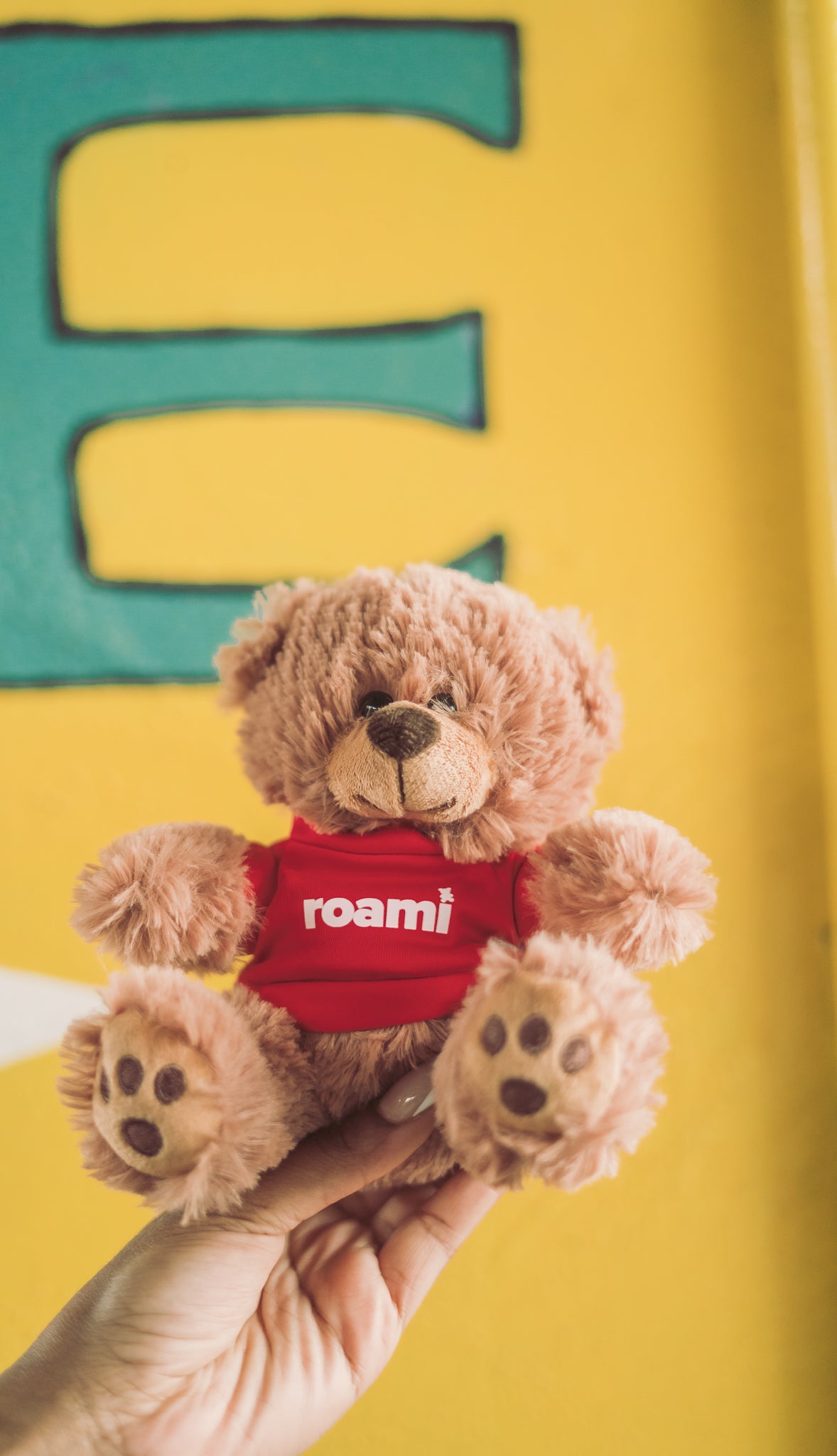 Roami, The DeKalb Explorer | Teddy Bear