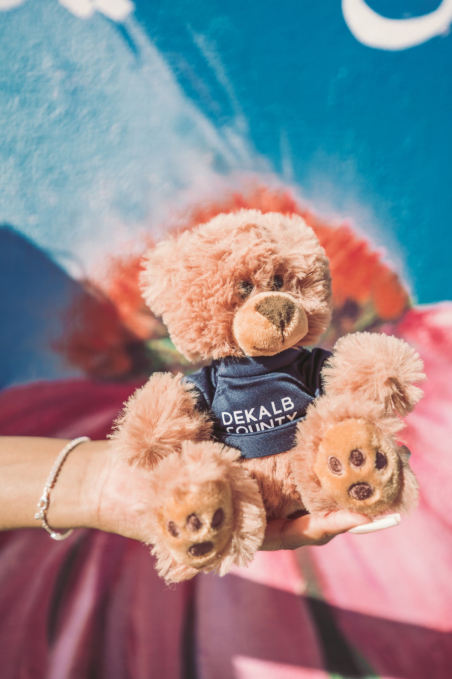 DC, Your DeKalb Buddy | Teddy Bear