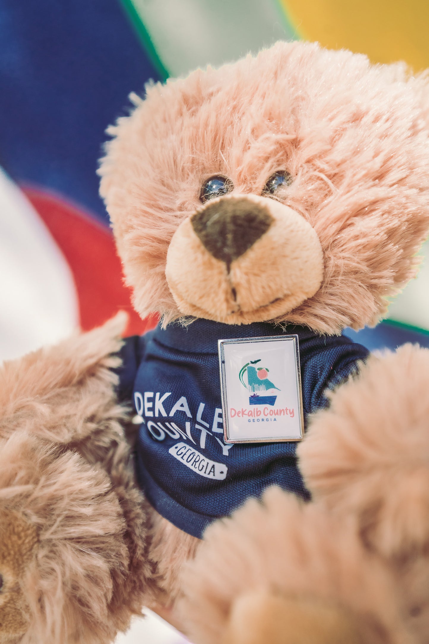 Proudly Pinned | DeKalb County Lapel Pin