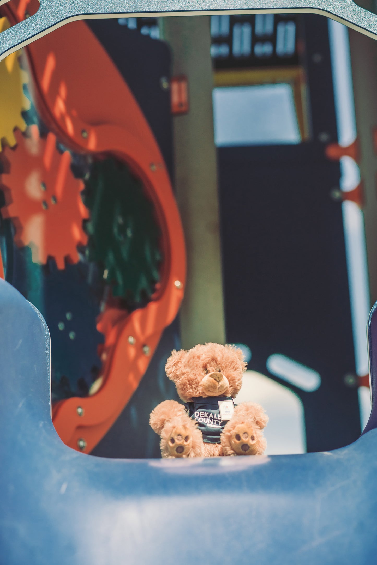 DC, Your DeKalb Buddy | Teddy Bear