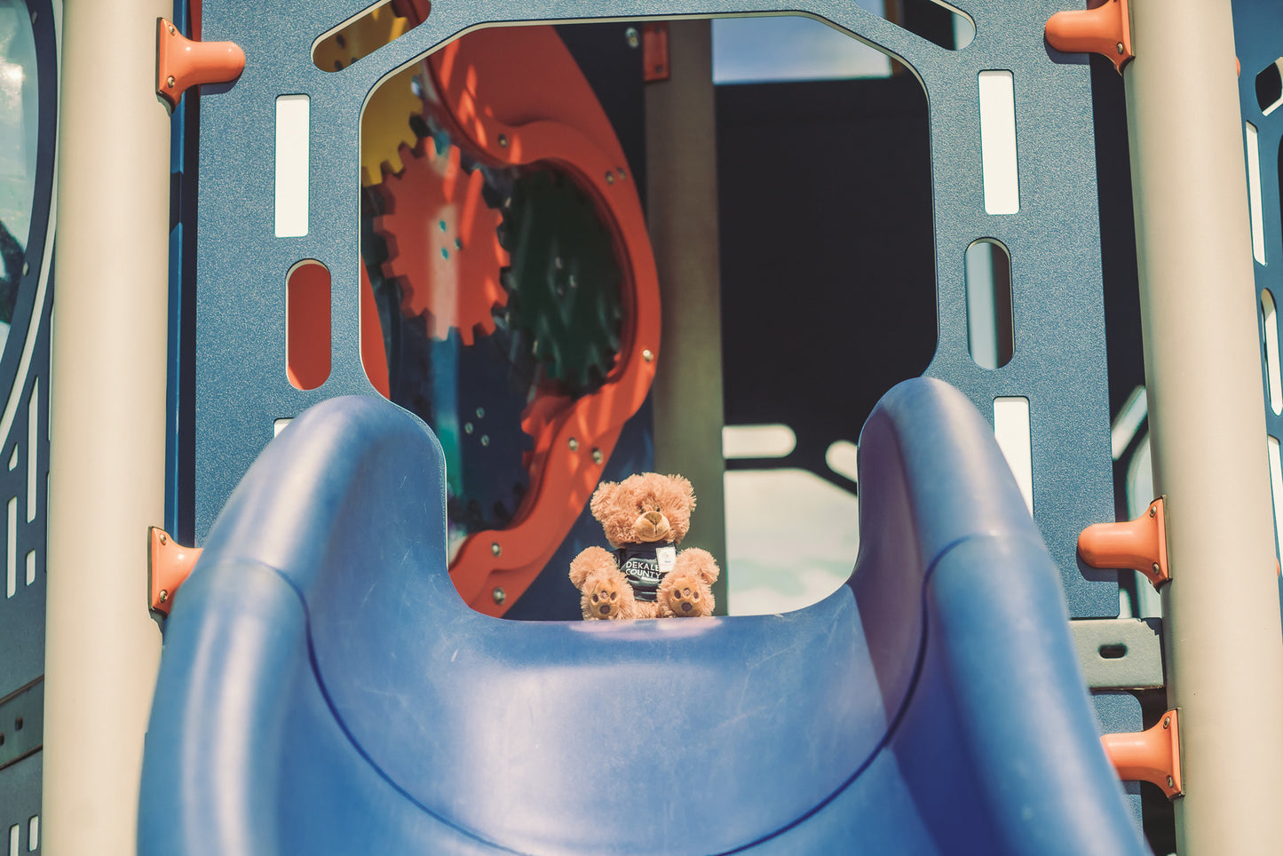 DC, Your DeKalb Buddy | Teddy Bear