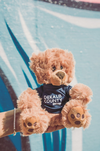 DC, Your DeKalb Buddy | Teddy Bear