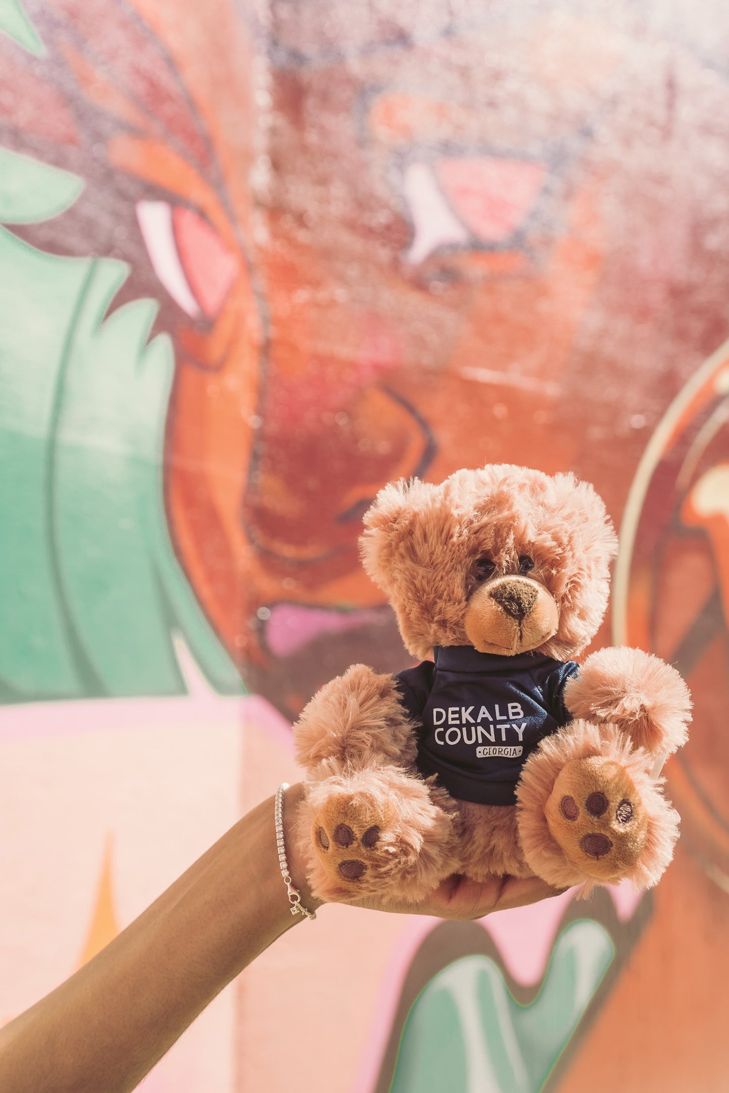 DC, Your DeKalb Buddy | Teddy Bear
