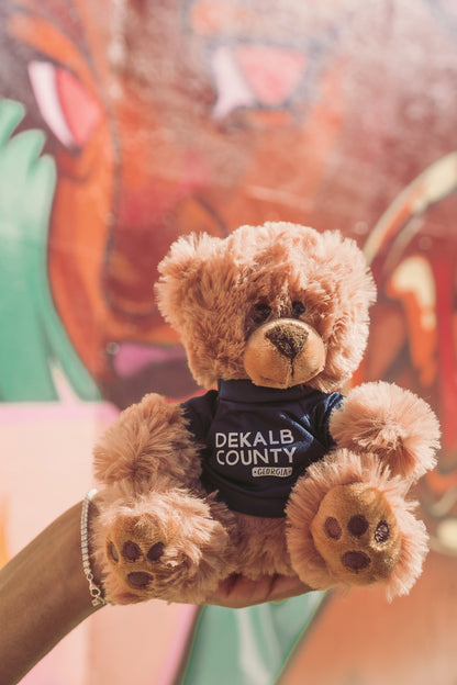 DC, Your DeKalb Buddy | Teddy Bear