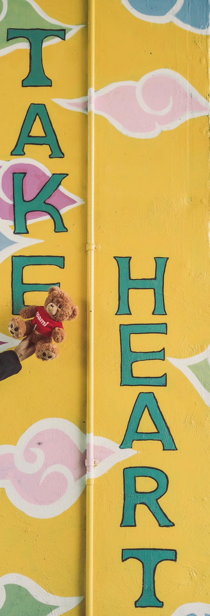 Roami XL, The Ultimate DeKalb Adventurer | Teddy Bear