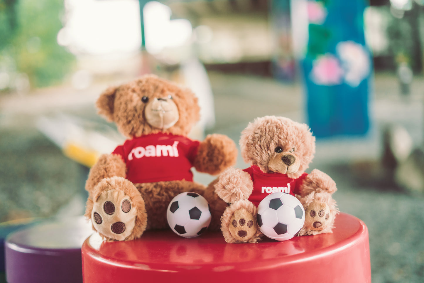 Roami, The DeKalb Explorer | Teddy Bear