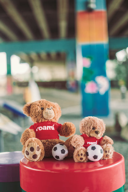 Roami XL, The Ultimate DeKalb Adventurer | Teddy Bear