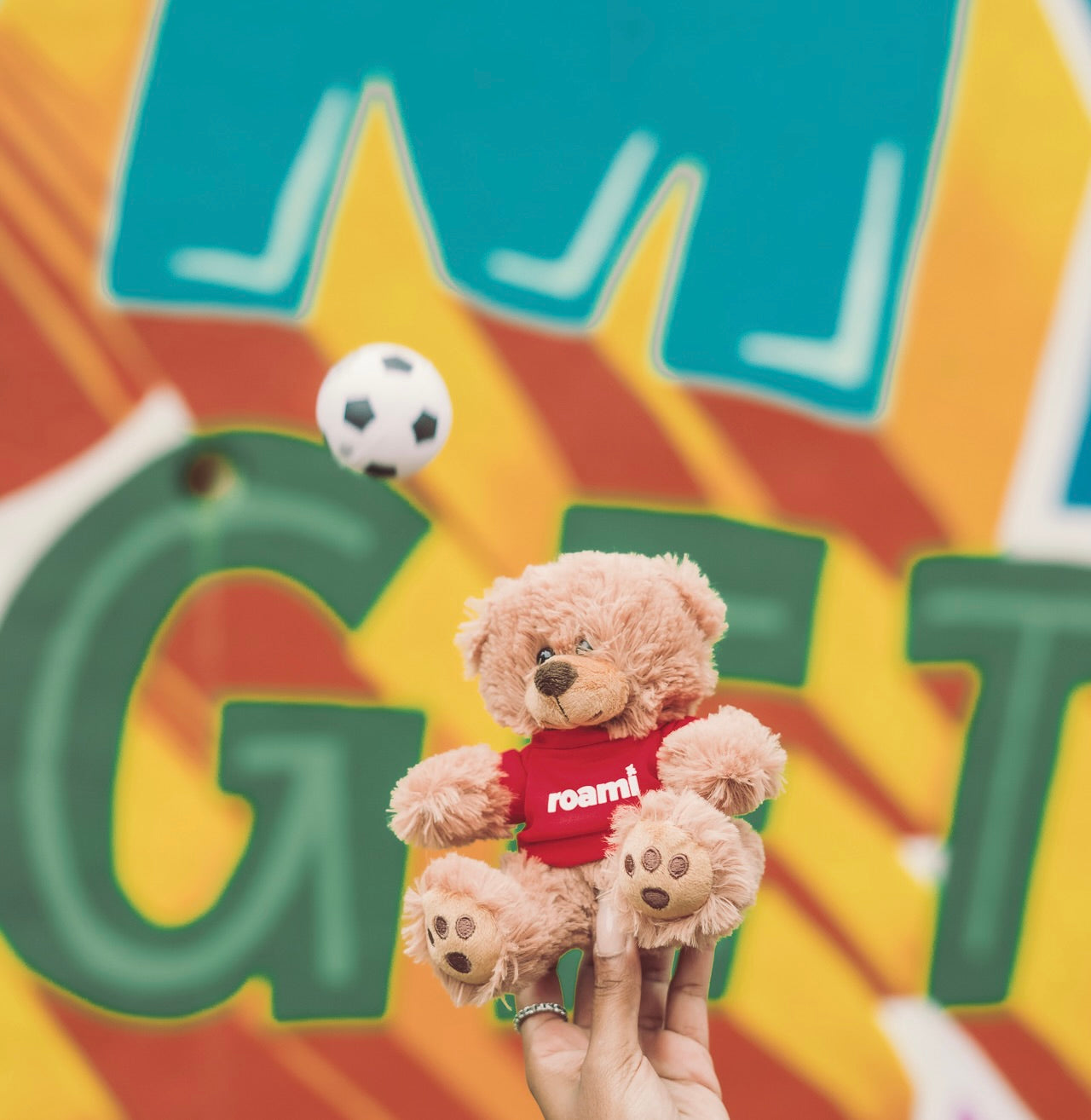 Roami, The DeKalb Explorer | Teddy Bear